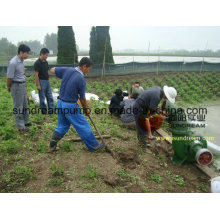 Hw Series Irrigation Axial Flow Pump